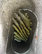 LA, Orange County Chimney Inspection Chimney Sweeping, Cleaning